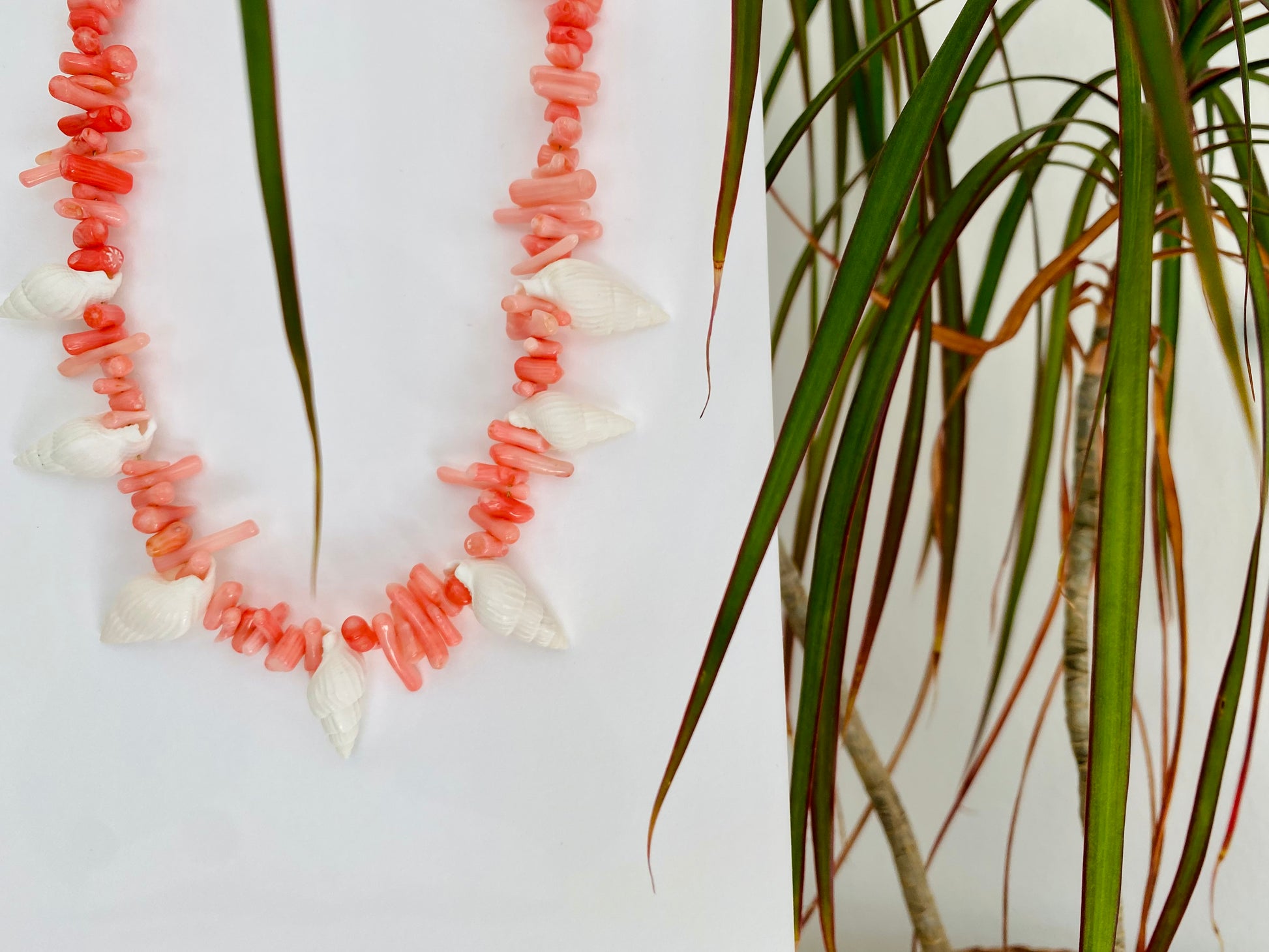 Coral Shell Necklace - Fuse Creations